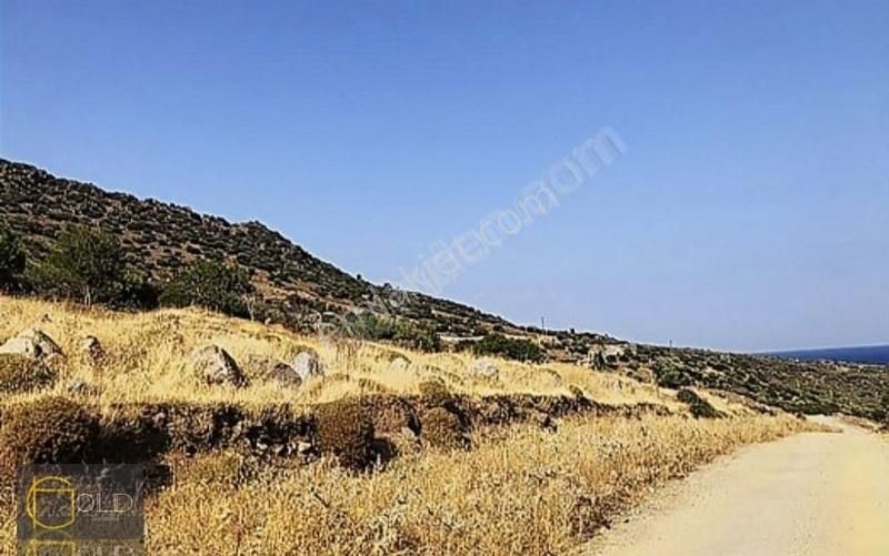 Assos Sokak Ağzı Denize 200 Metre İmarlı Arsa - Görsel 14