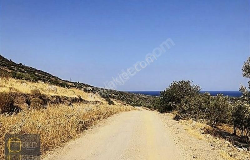 Assos Sokak Ağzı Denize 200 Metre İmarlı Arsa - Görsel 5