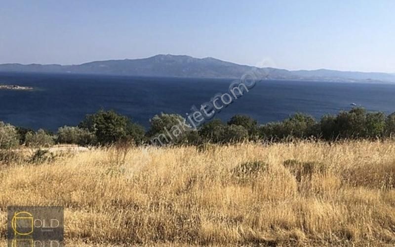 Assos Sokak Ağzı Denize 200 Metre İmarlı Arsa - Görsel 3