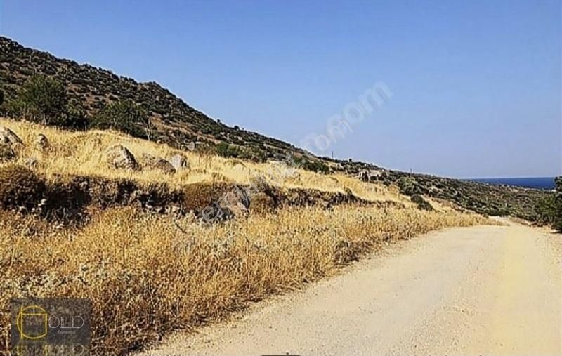 Assos Sokak Ağzı Denize 200 Metre İmarlı Arsa - Görsel 8