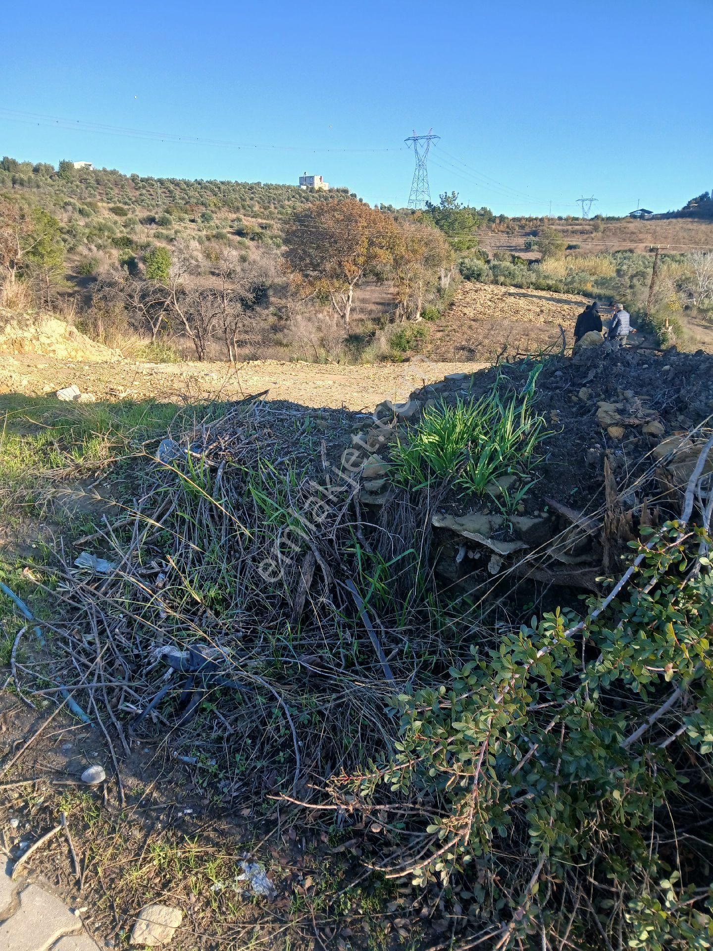 Köy İçi Yolu Suyu Elektriği Olan Hemen Ev Yapmaya Uygun Köy İçi Arsa - Görsel 2