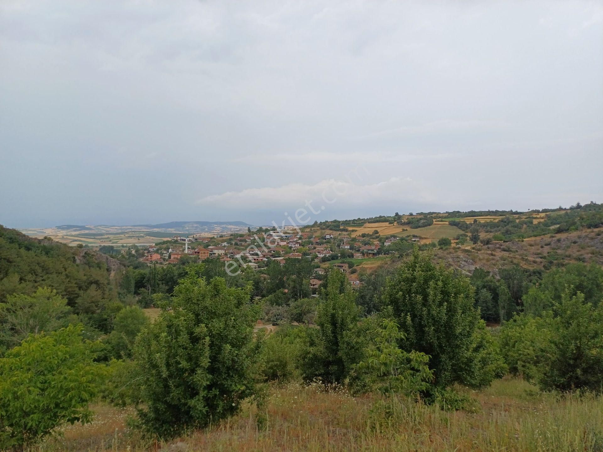 Yenişehir Hayriye Satılık Tarla Çağlar'dan Hayriye Mh. 9165m2 İçerisinde Çeşitli Meyveler Olan Resmi Yola Cephe Tarla