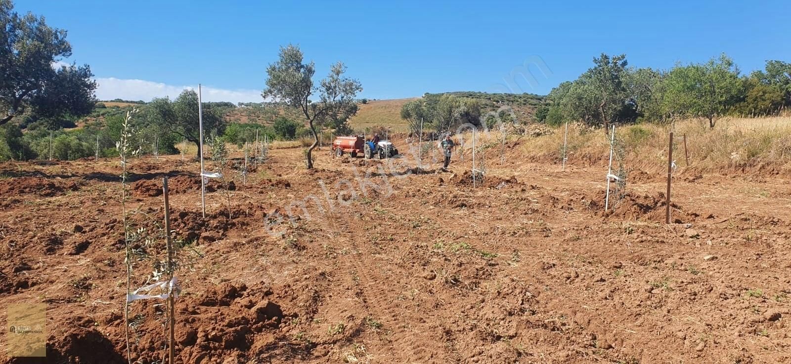 Ezine Tavaklı Köyü Satılık Tarla Ezine Tavaklı Tatil Beldesinde Deniz Manzaralı Hobi Bahçesi !!