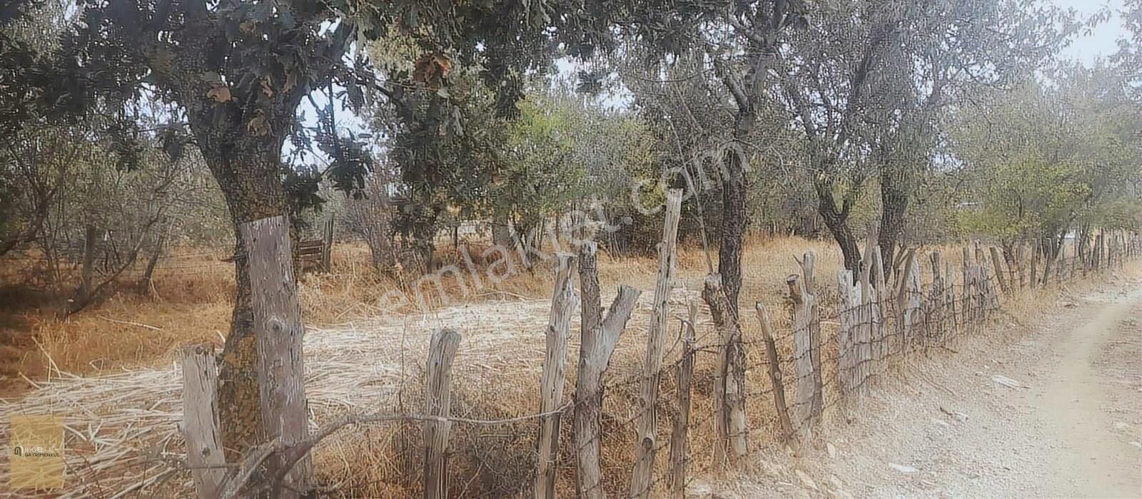 Çanakkale Merkez Denizgöründü Köyü Satılık Villa İmarlı Çanakkale Merkez Denizgöründüde Köyiçi İmarlı Arsa Muhteşem Doğa