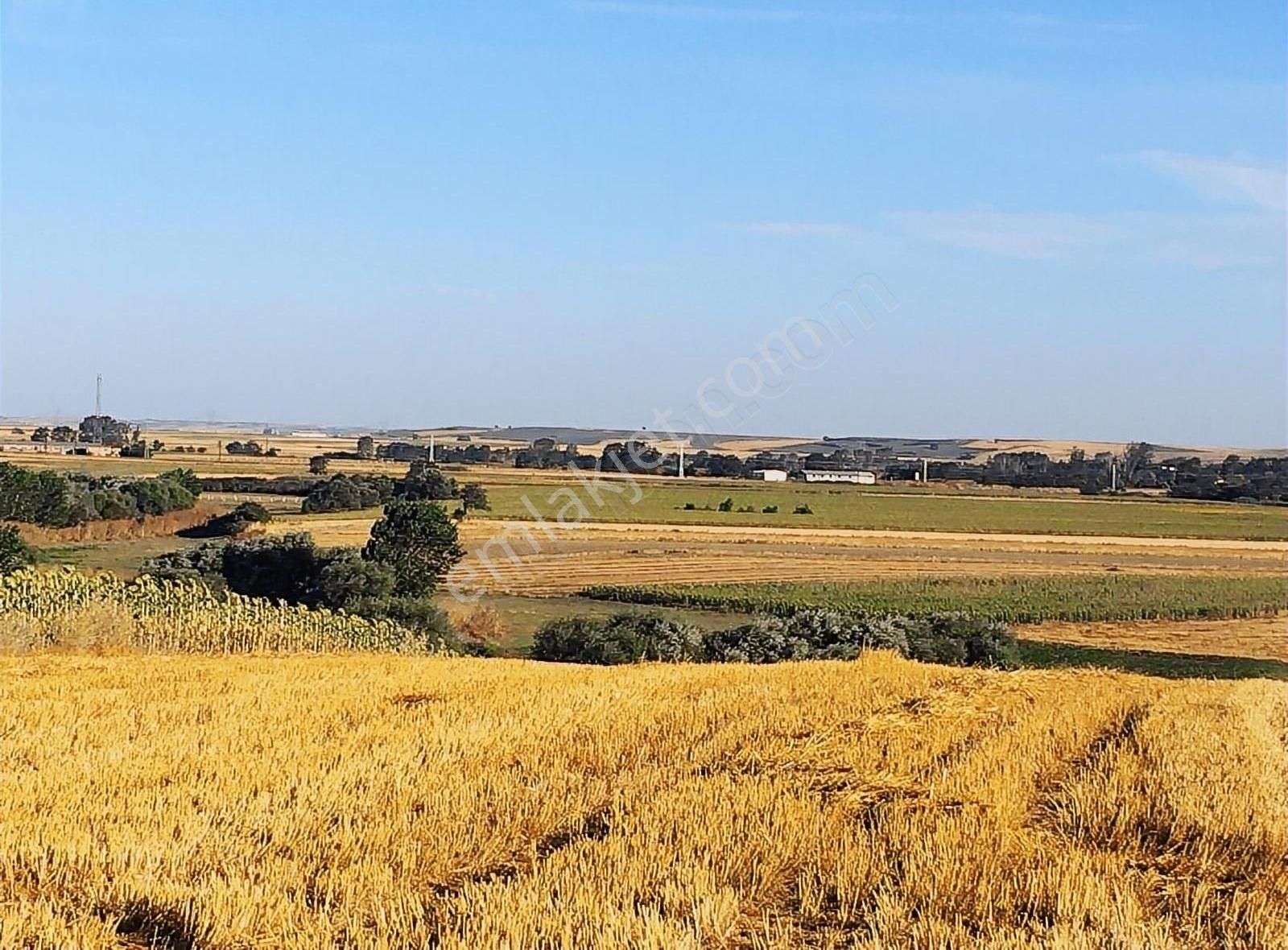 Lüleburgaz Karamusul Köyü Satılık Bağ & Bahçe Lüleburgaz Karamusul Da Satılık Bağlık