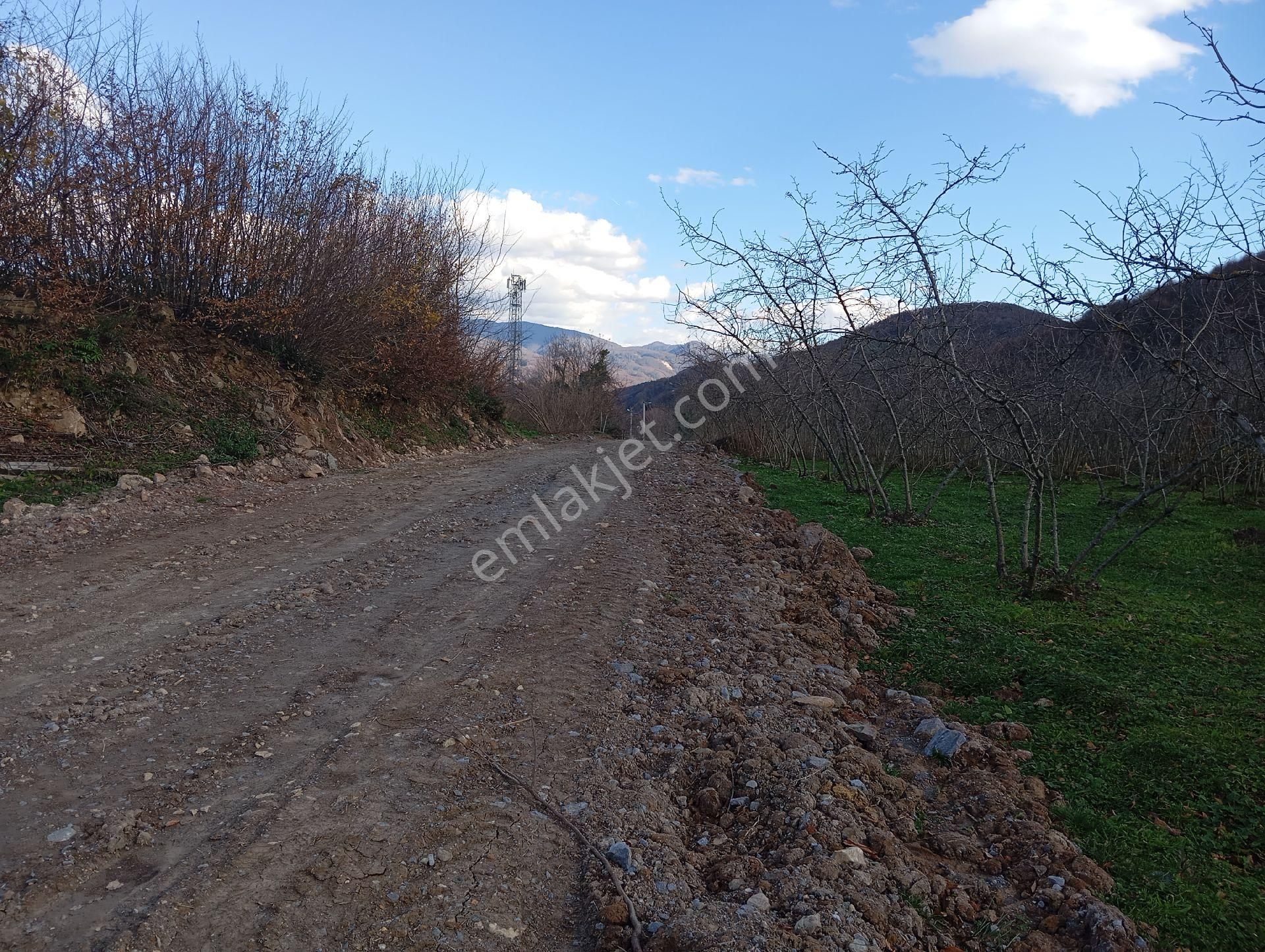 Kaynaşlı Çele Satılık Konut İmarlı Kaynaşlı Satılık Arsa