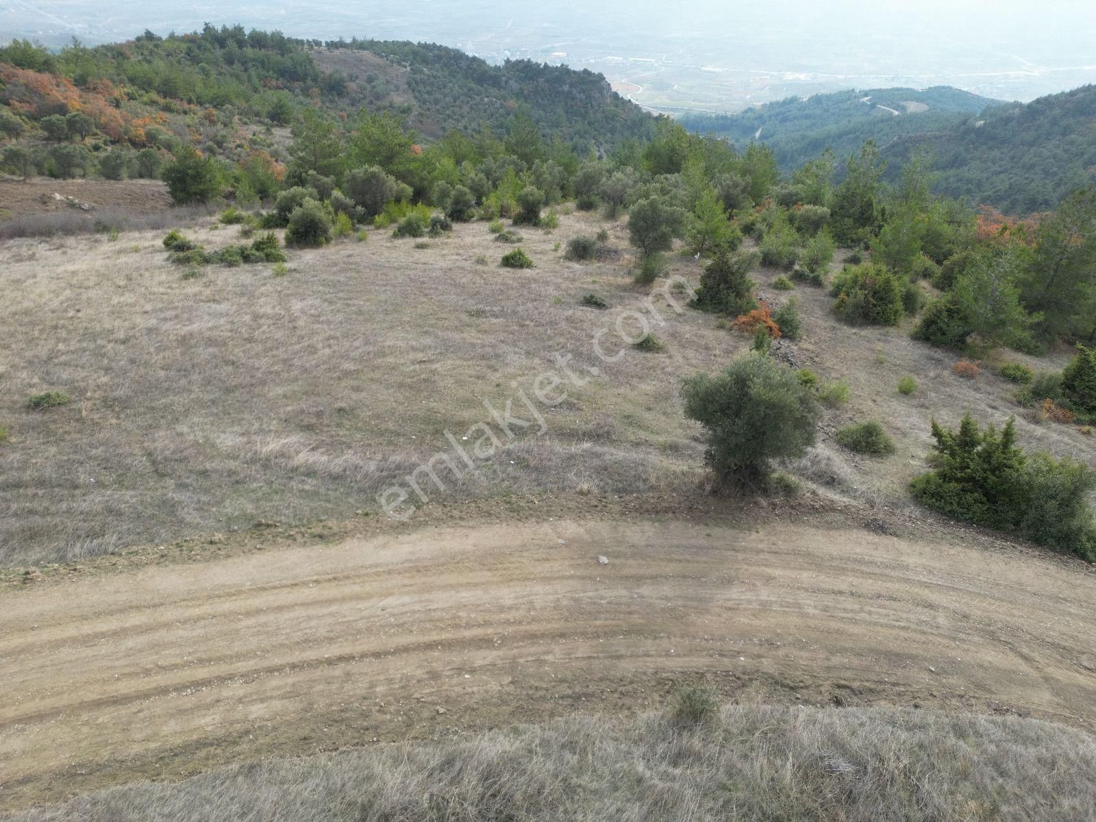 Sakarya Pamukova Hüseyinli Mahallesinde Manzaralı Yatırımlık Arsa - Görsel 6