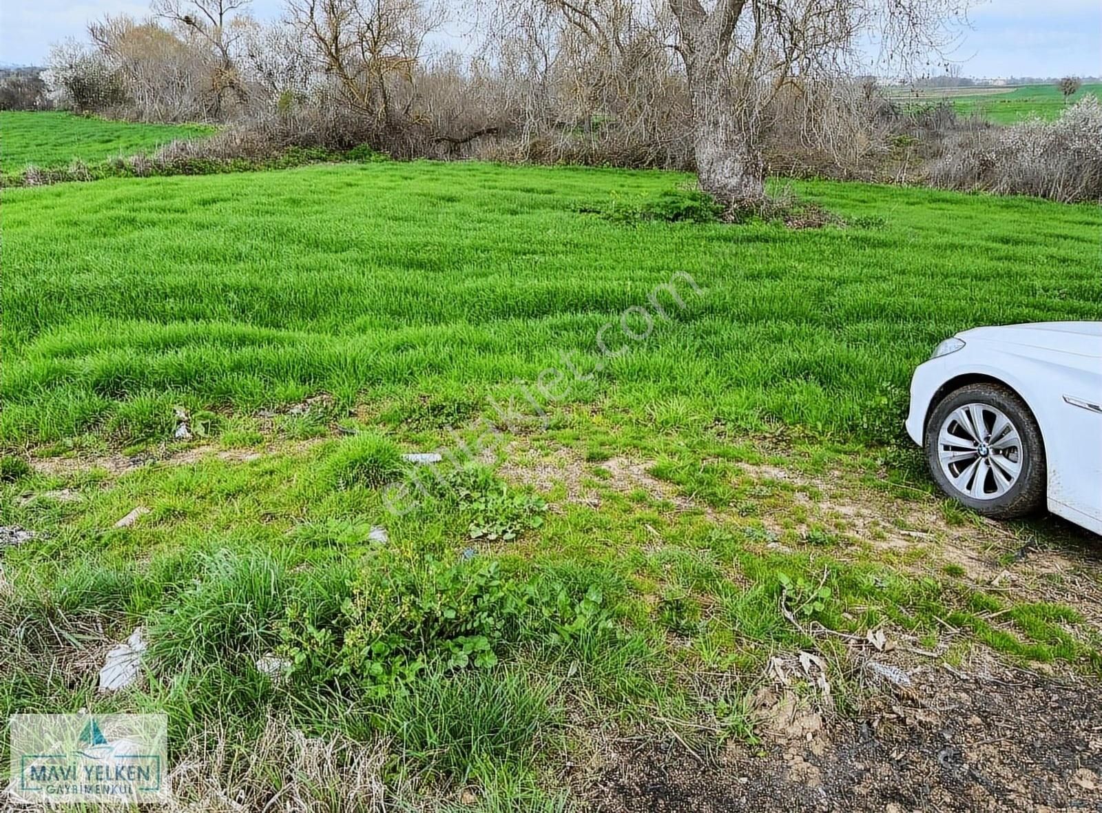 Biga Gündoğdu Köyü Satılık Tarla Çanakkale Biga Karantı Köyü Satılık Arazi