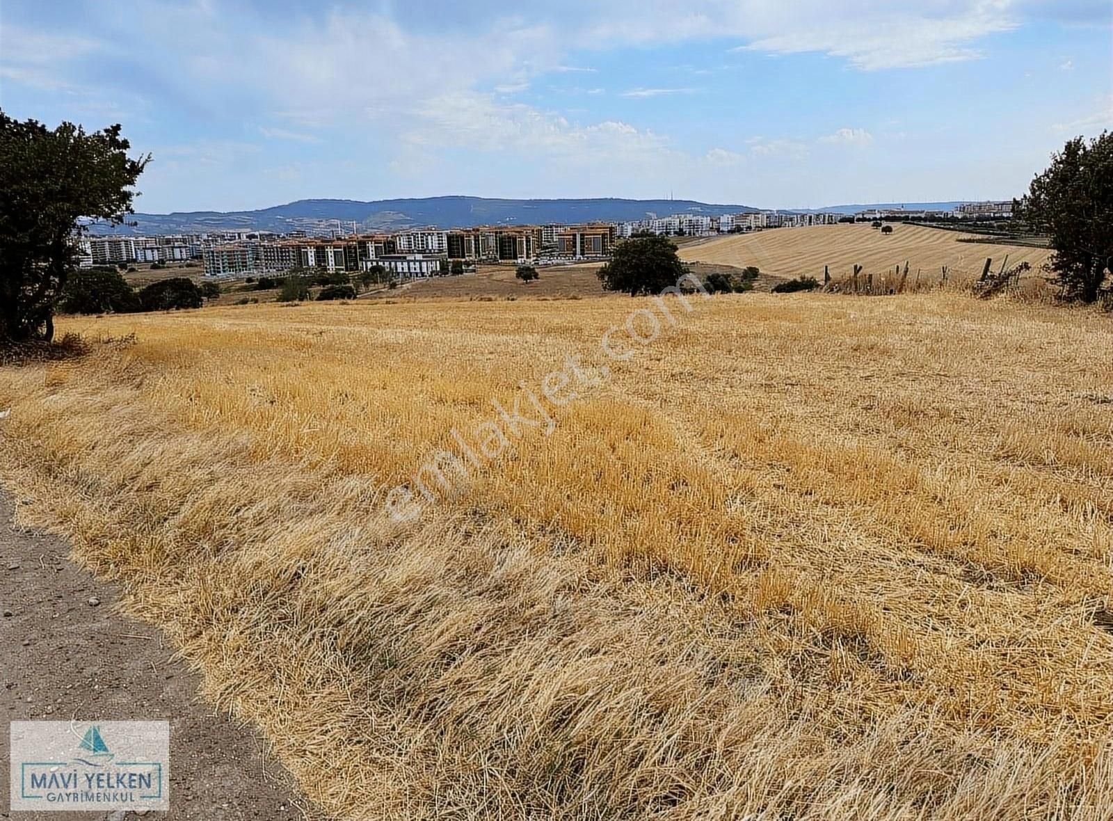 Çanakkale Merkez Cevat Paşa Satılık Tarla Çanakkale Merkez Cevatpaşa Mahallesi Satılık Arazi