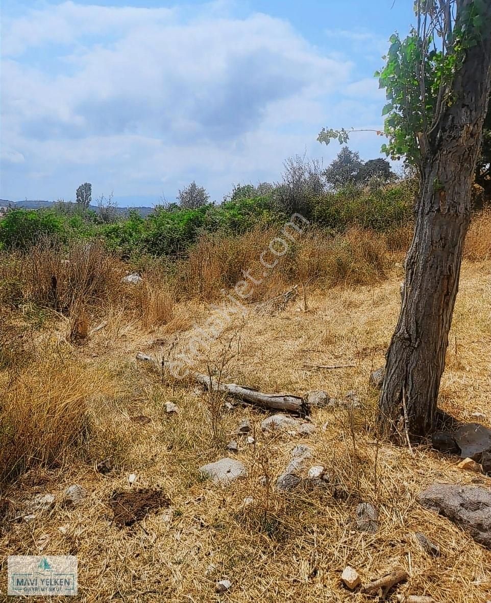 Çan Doğancılar Köyü Satılık Bağ & Bahçe Çanakkale Çan Doğancılar Köyü Satılık Arsa