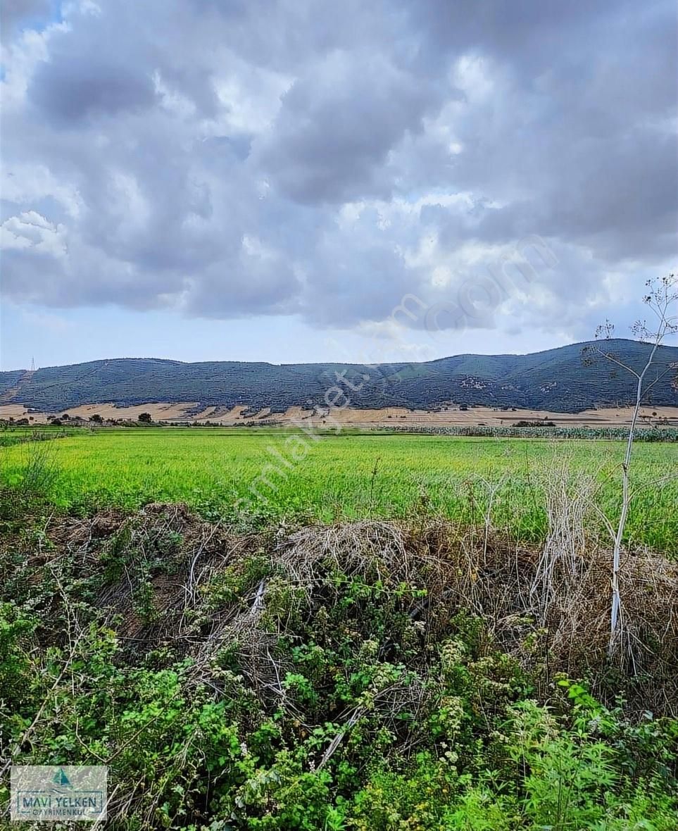 Çanakkale Biga Bekirli Köyü Satılık Arazi