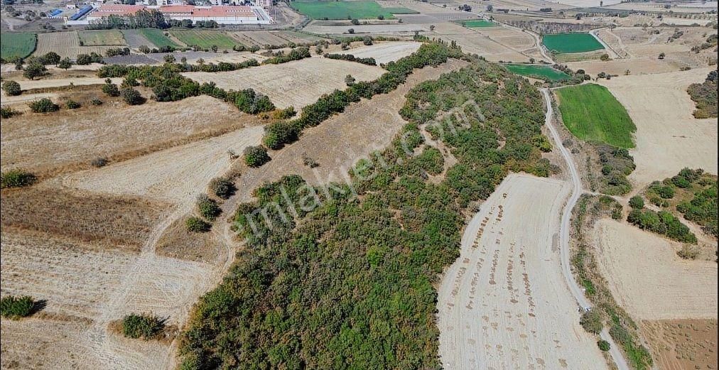 Kepsut Akçaköy Satılık Tarla Kepsut Akçaköy Mah. 6.132 M2 Satılık Tarla