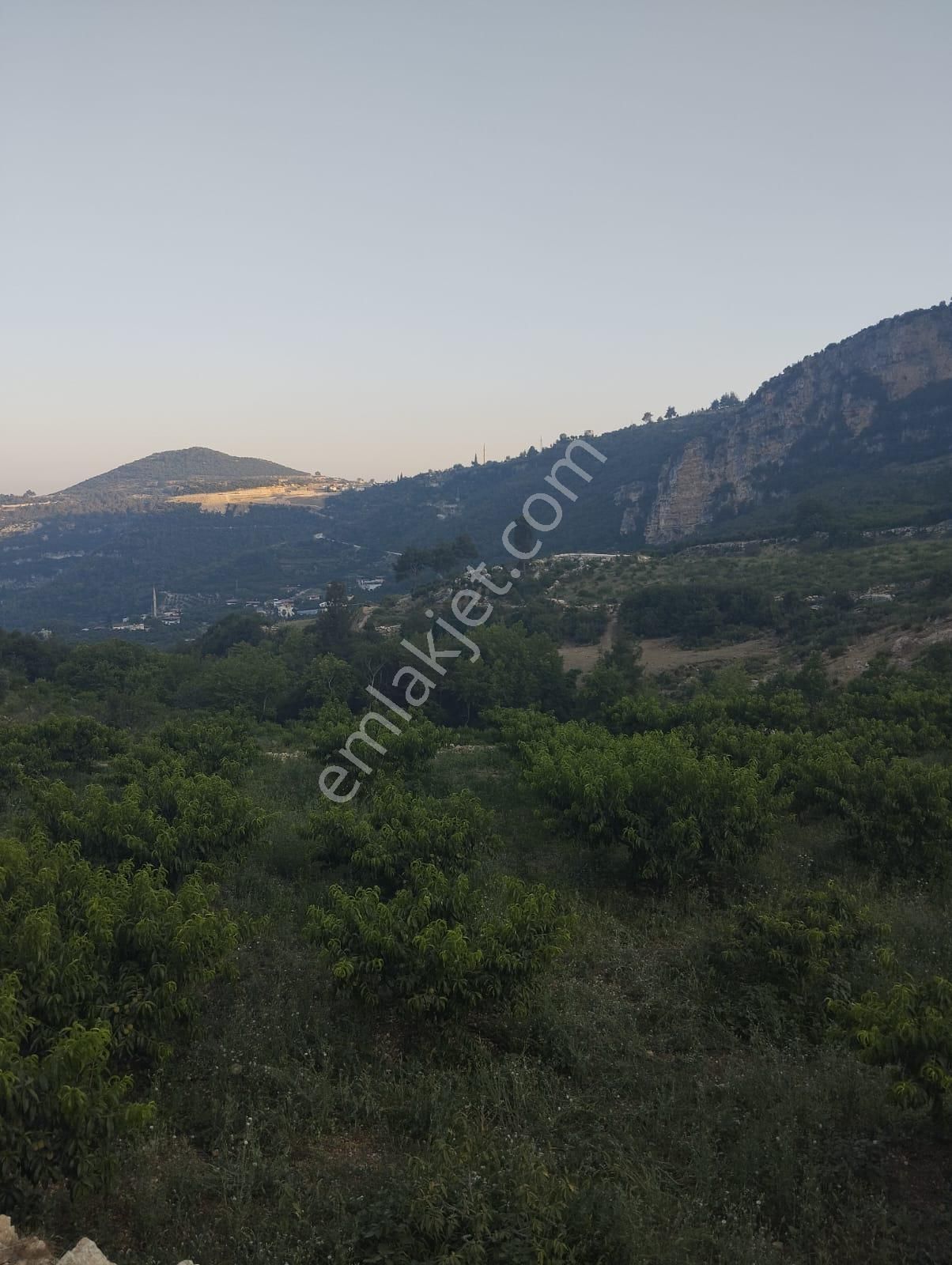 Toroslar Kepirli Satılık Konut İmarlı Dinçer Emlak'tan Kepirli Mahallesinde Satılık 1700 M2 Şeftali Bahçesi