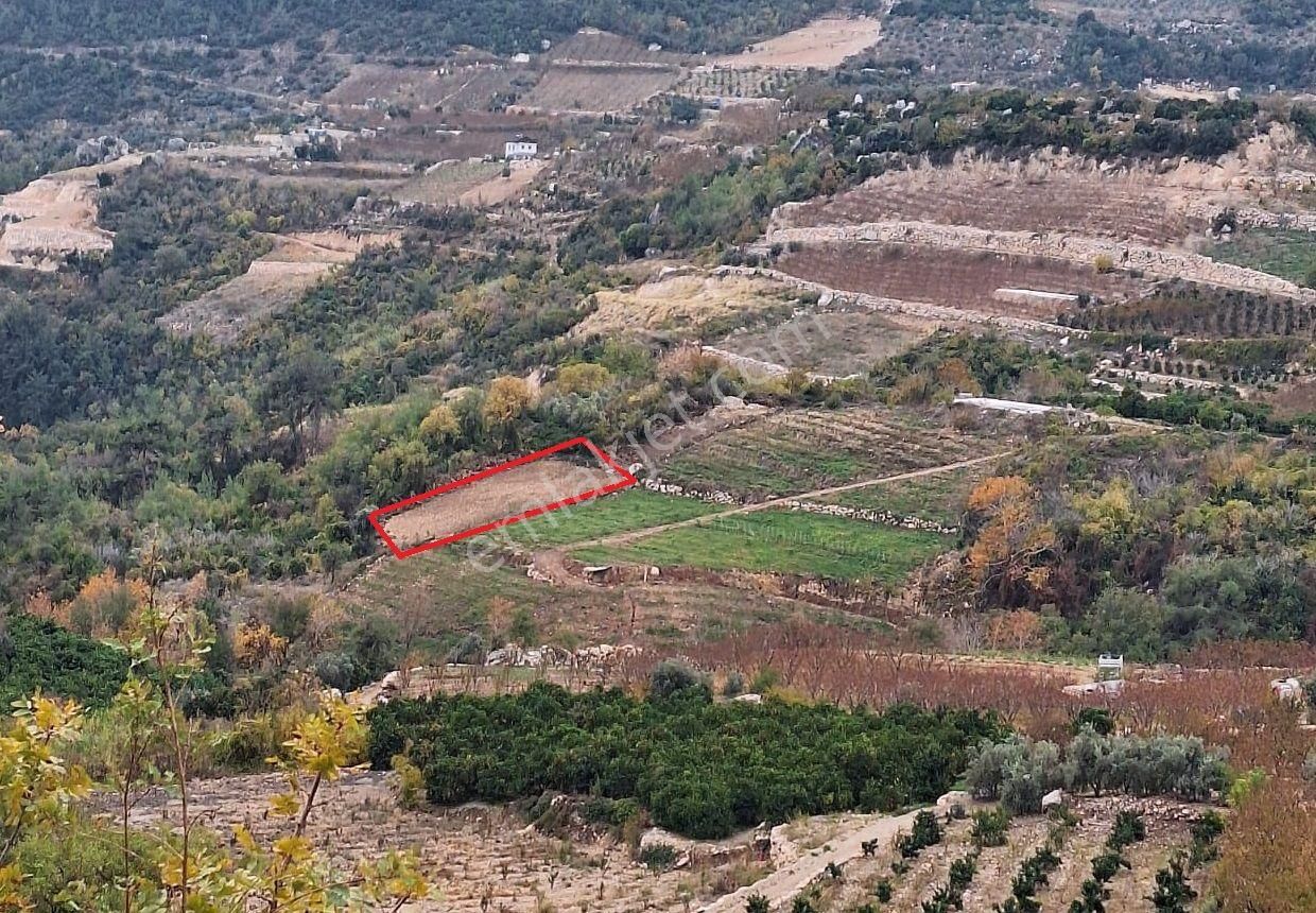 Yenişehir Uzunkaş Satılık Konut İmarlı Dinçer Emlak'tan Uzunkaş Mahallesinde Satılık 1091 M2 Portakal Bahçesi