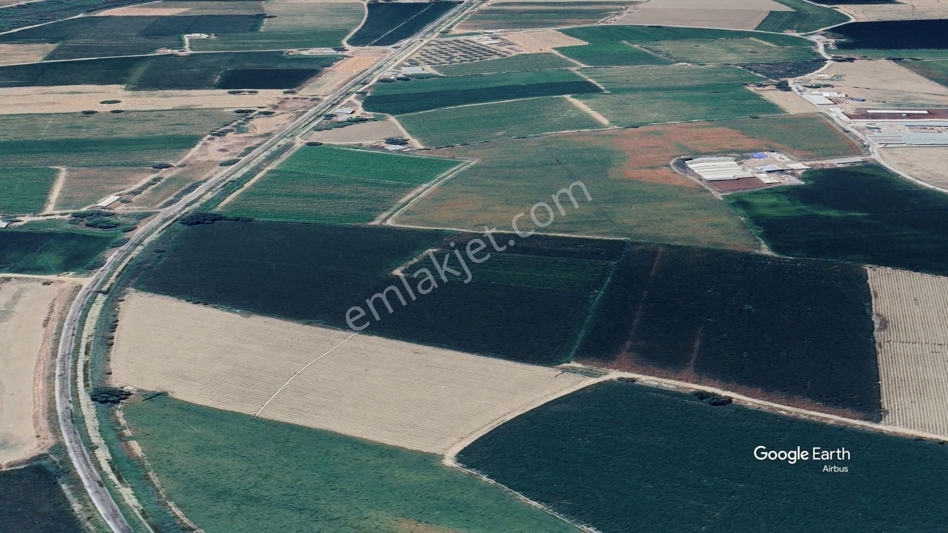 Turgutlu Çampınar Satılık Muhtelif Arsa Turgutlu 2. Mıntıka 4.500 M2 Sulak Verimli Satılık Tarla