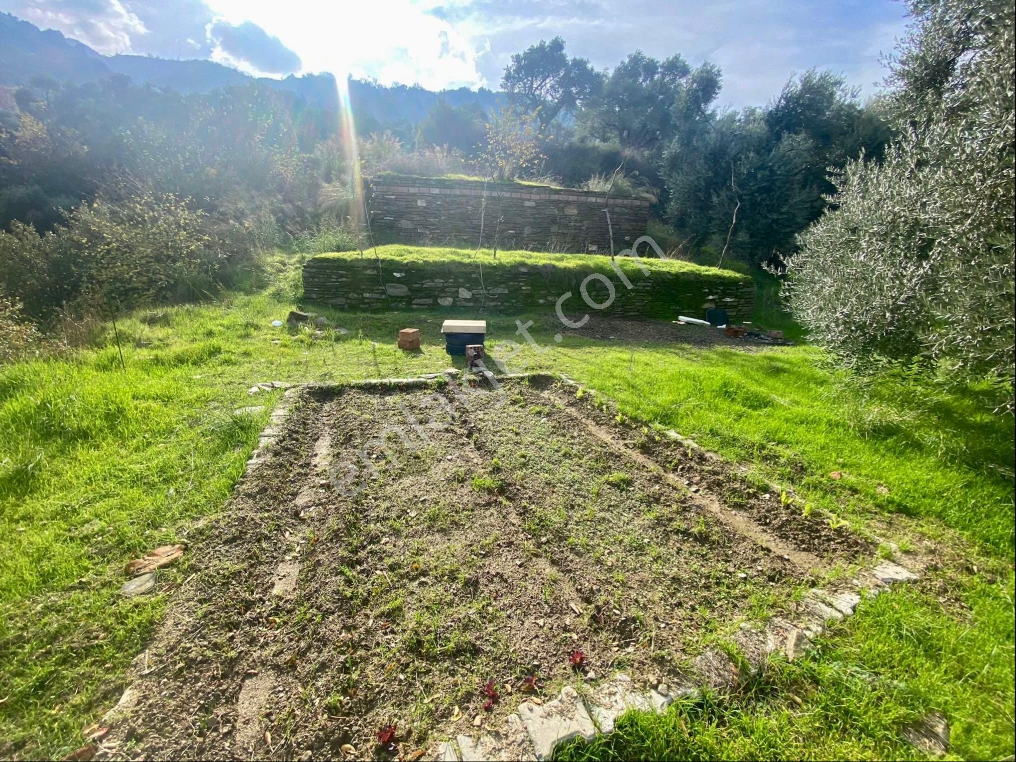 Tire Kaplan Satılık Bağ & Bahçe Şahin Gayrimenkul Den Kaplan Köyünde Yatırımlık Bahçe