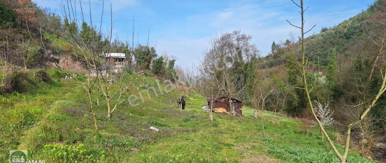 Orhangazi Yenisölöz Köyünde Dere Kenarı Harika Hobi Bahçesi - Görsel 2