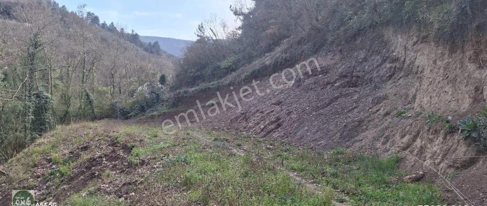 Orhangazi Yenisölöz Köyünde Dere Kenarı Harika Hobi Bahçesi - Görsel 16