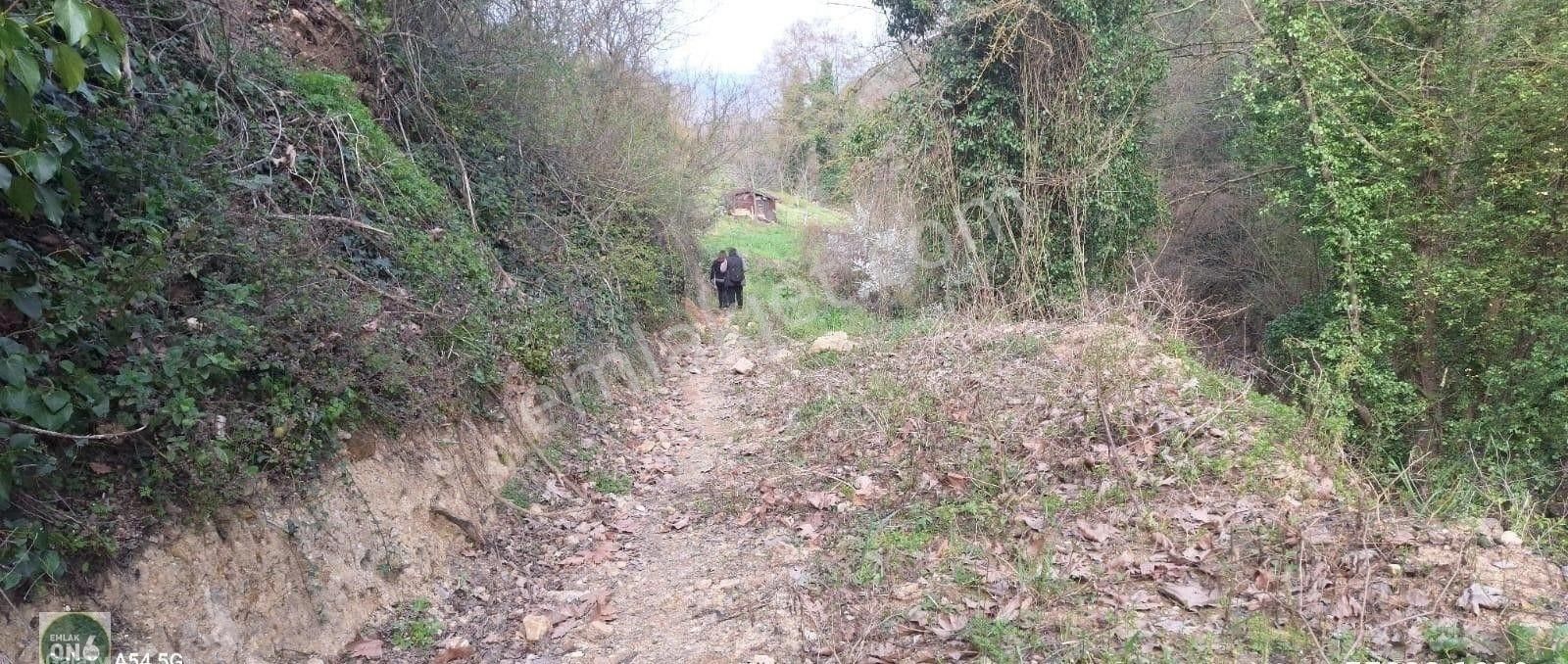 Orhangazi Yenisölöz Köyünde Dere Kenarı Harika Hobi Bahçesi - Görsel 24