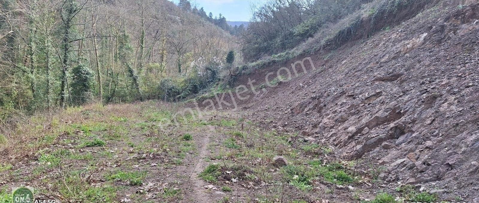 Orhangazi Yenisölöz Köyünde Dere Kenarı Harika Hobi Bahçesi - Görsel 19