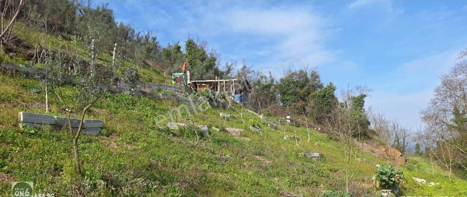Orhangazi Yenisölöz Köyünde Dere Kenarı Harika Hobi Bahçesi - Görsel 4