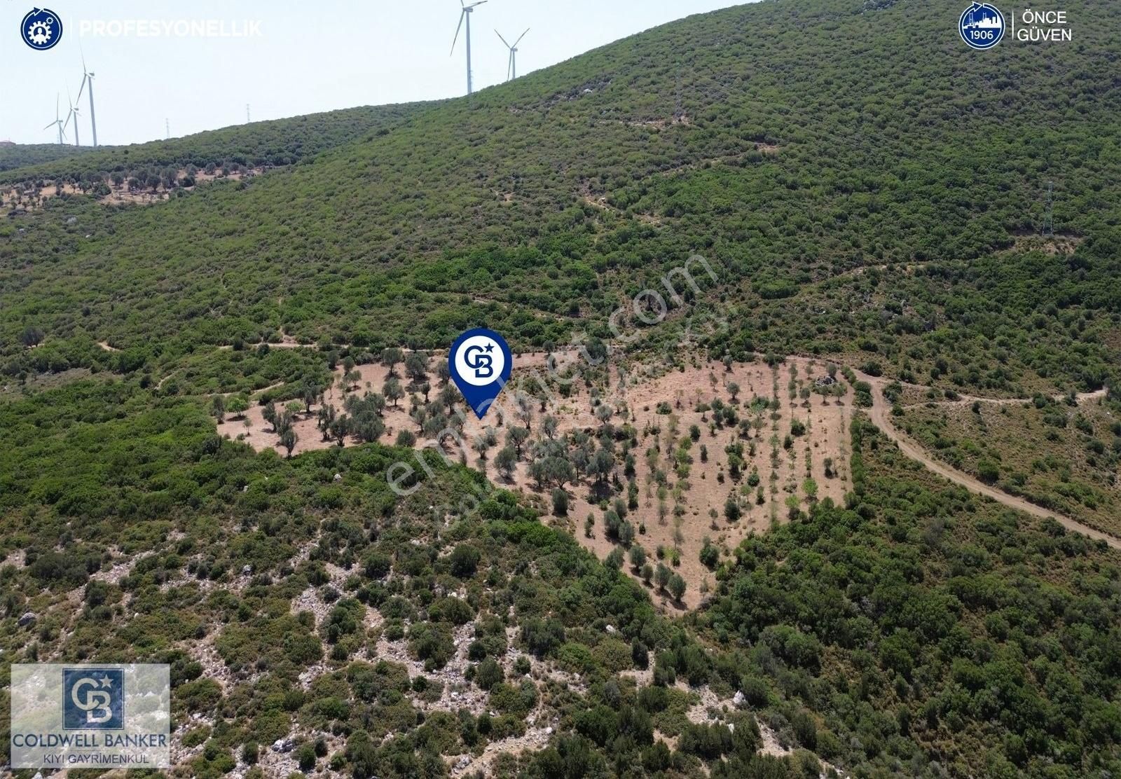 Karaburun Eğlenhoca Mahallesi'nde Deniz Ve Gölet Manzaralı Tarla - Görsel 7