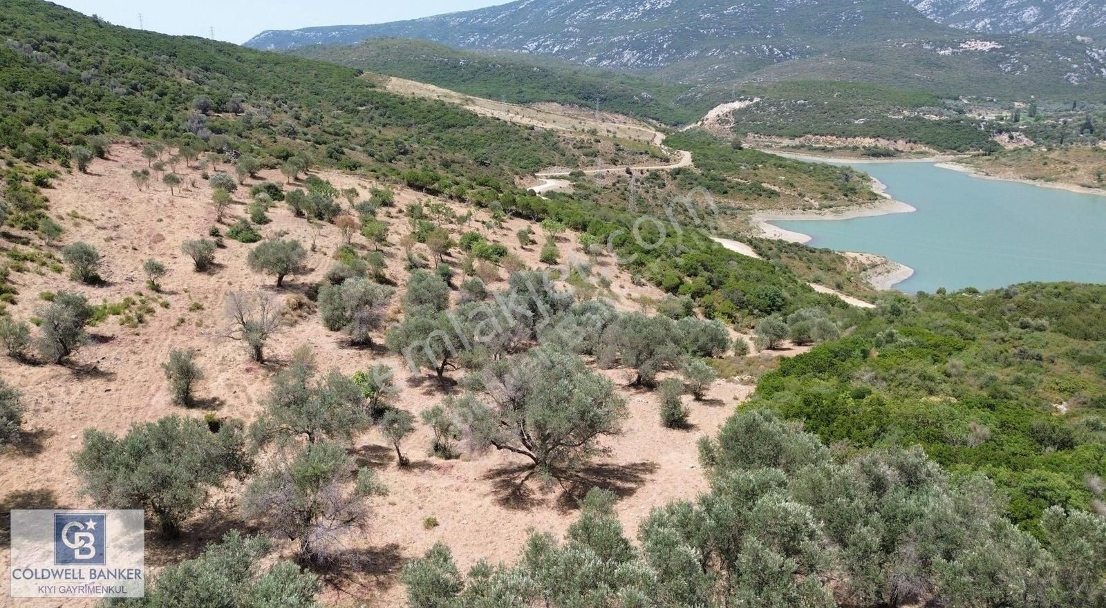 Karaburun Eğlenhoca Mahallesi'nde Deniz Ve Gölet Manzaralı Tarla - Görsel 8