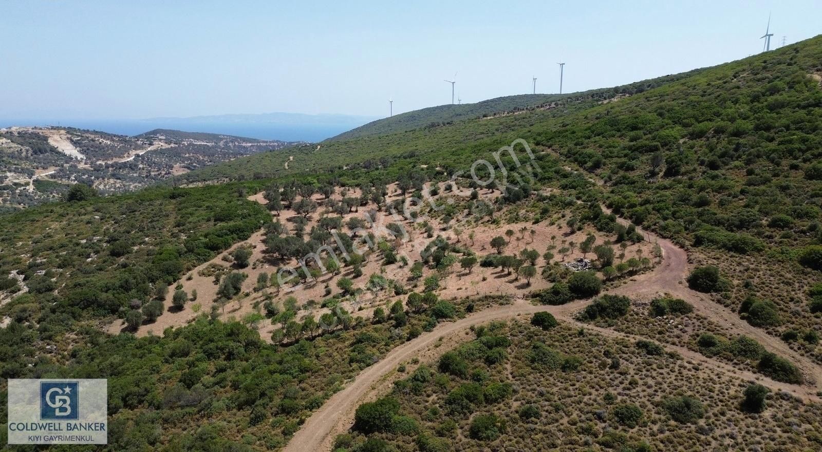 Karaburun Eğlenhoca Mahallesi'nde Deniz Ve Gölet Manzaralı Tarla - Görsel 12