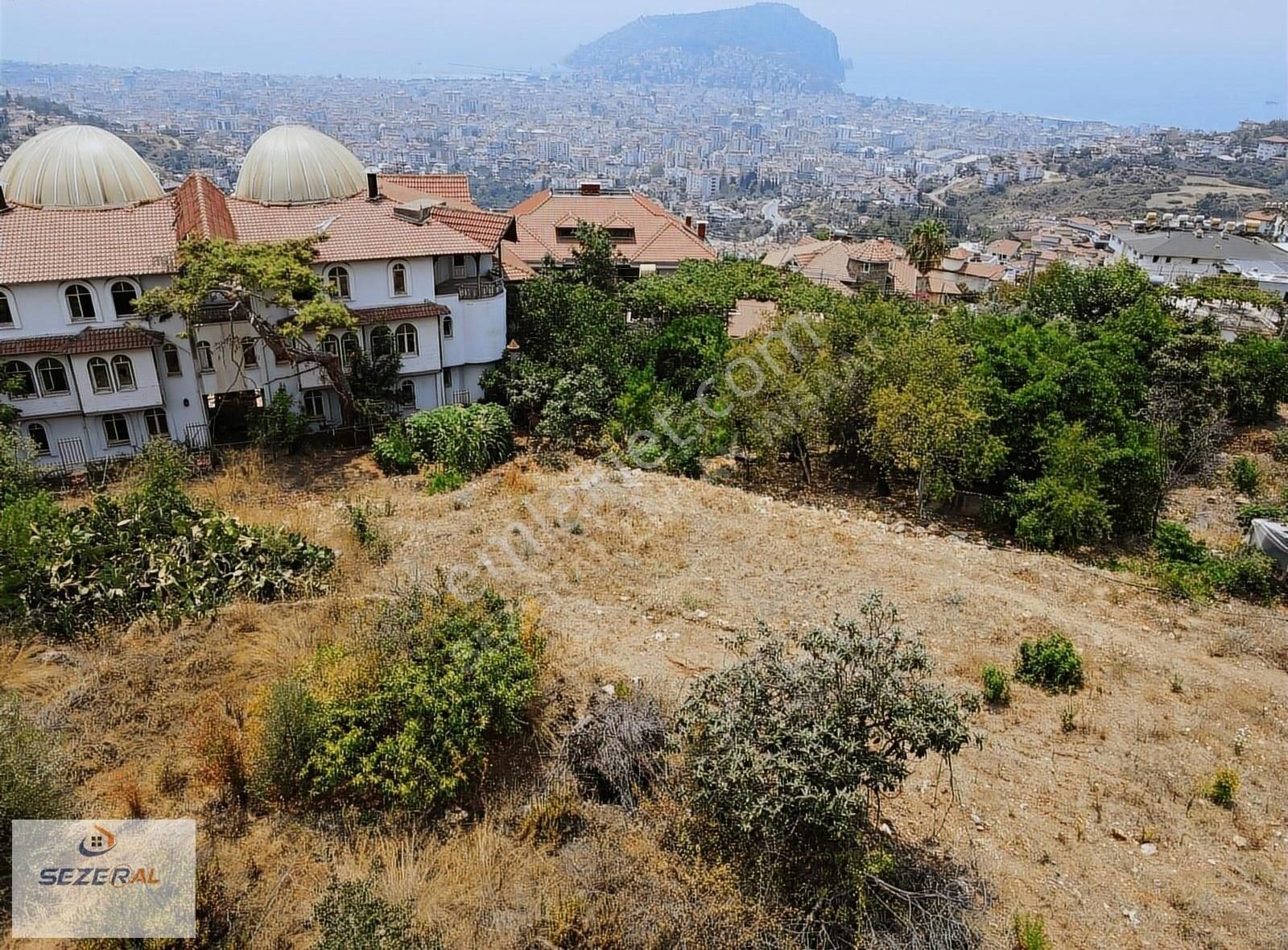 Alanya Tepe Satılık Tarla Alanya Tepe Mahallesi 1000 M2 İmarlı Arsa