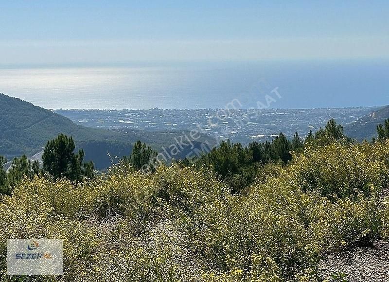 Alanya Bademağacı Satılık Tarla Alanya Da Deniz Manzaralı . Gelecek Garantili Tarla