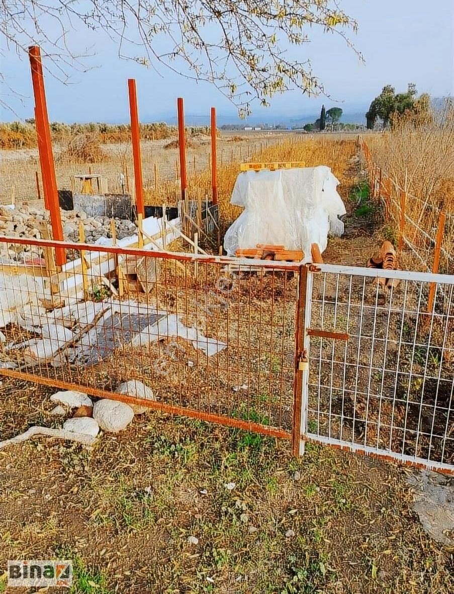 Bergama Kaşıkçı Satılık Tarla Bergama Kaşıkcı Köyünde Satılık Hobi Bahçesi