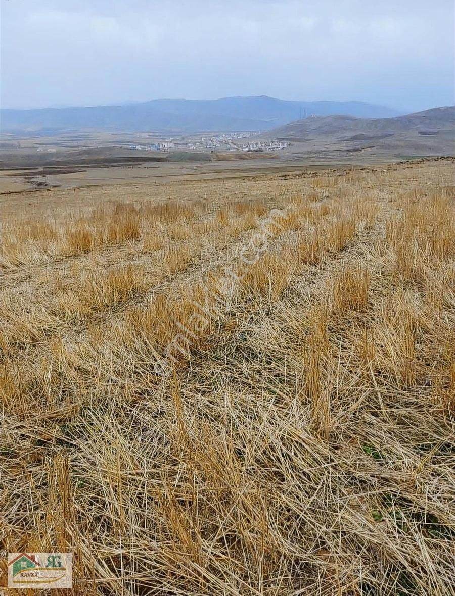 Demirözü Çiftetaş Satılık Tarla Ravza Yapı Gayrimenkulden 15.300m2 Satılık Tarla.