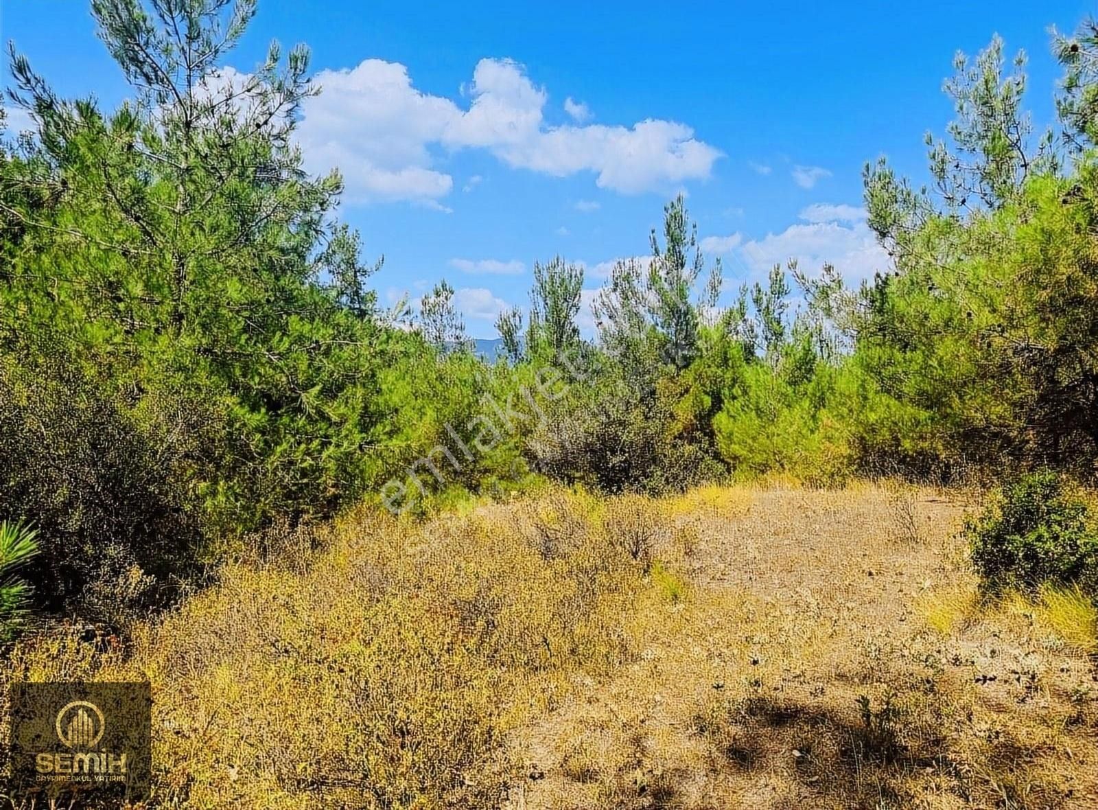 İznik Çiçekli Satılık Tarla Bursa İznik'te Havuzlu Villanın Yanında 6448m² Satılık Arsa