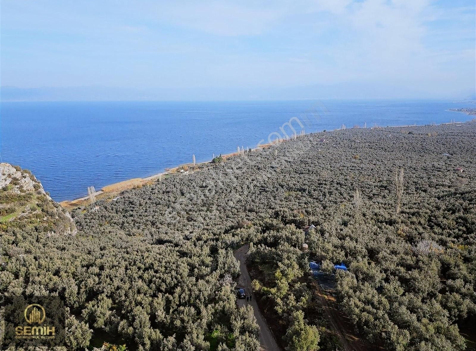 İznik Müşküle Satılık Tarla İznik Merkeze 8 Dakika!! Eşsiz Göl Manzaralı Zeytinlik Arsa