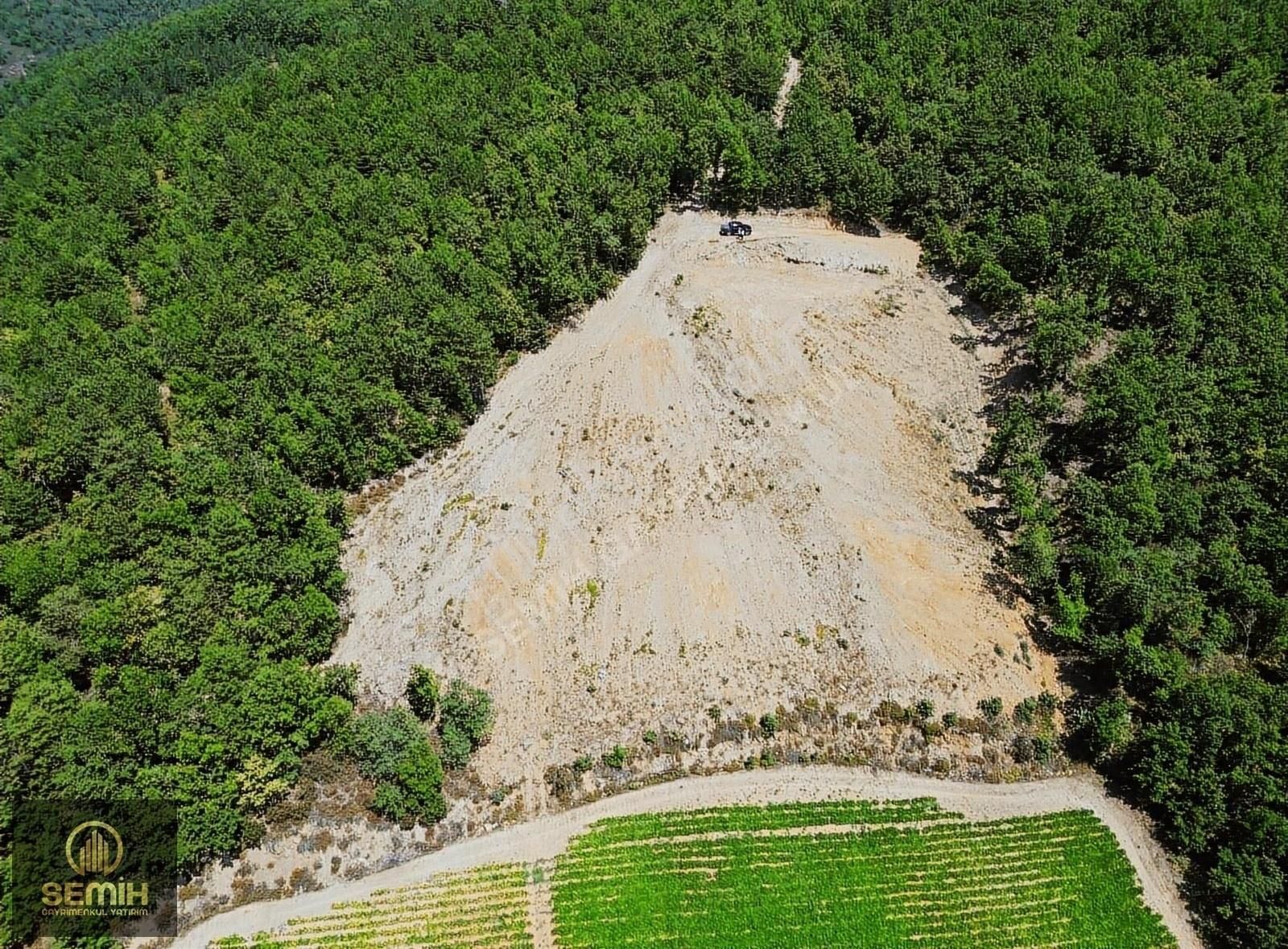 İznik Gürmüzlü Satılık Tarla İznik'in Gözde Noktası Gürmüzlüde, 5.870m² Yatırım Fırsatı!