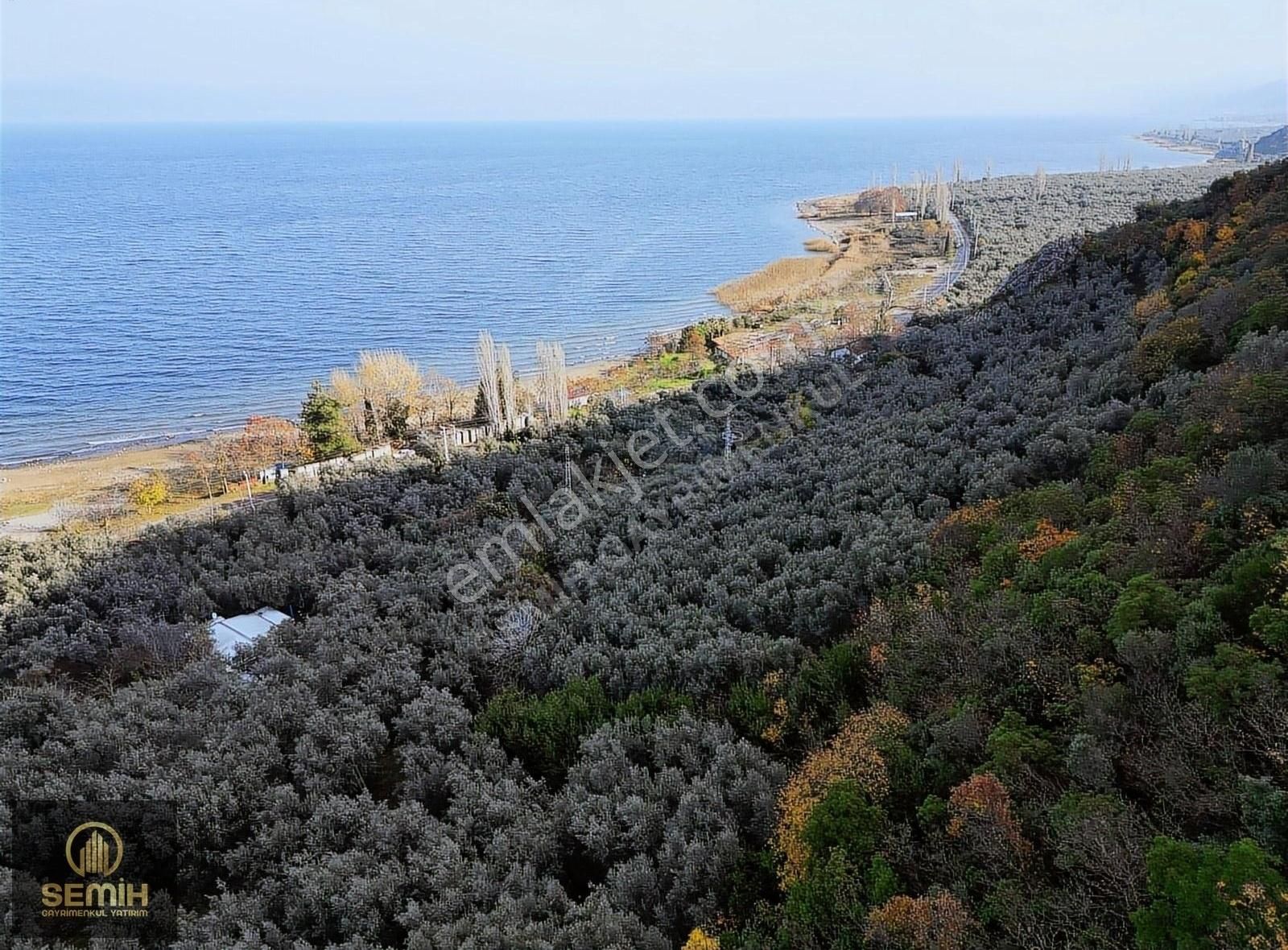 İznik Müşküle Satılık Tarla Tahrihi İznik Gölüne 100 Metre Mesafedeki 860 M2 Yerimiz Satışta