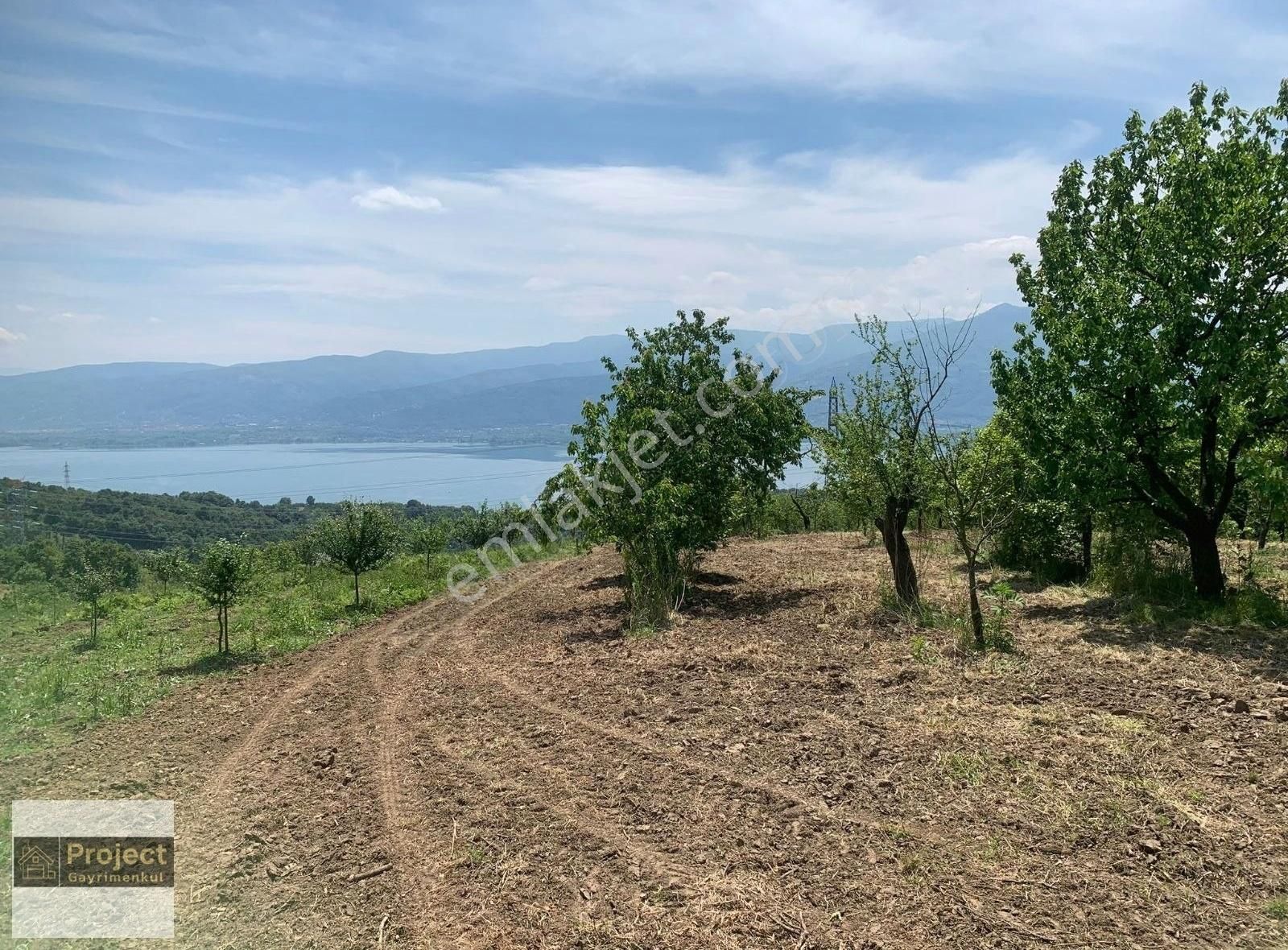 Kartepe Eşme Satılık Bağ & Bahçe Kartepe Eşme'de Sapanca Gölü Manzaralı Satılık Tarla