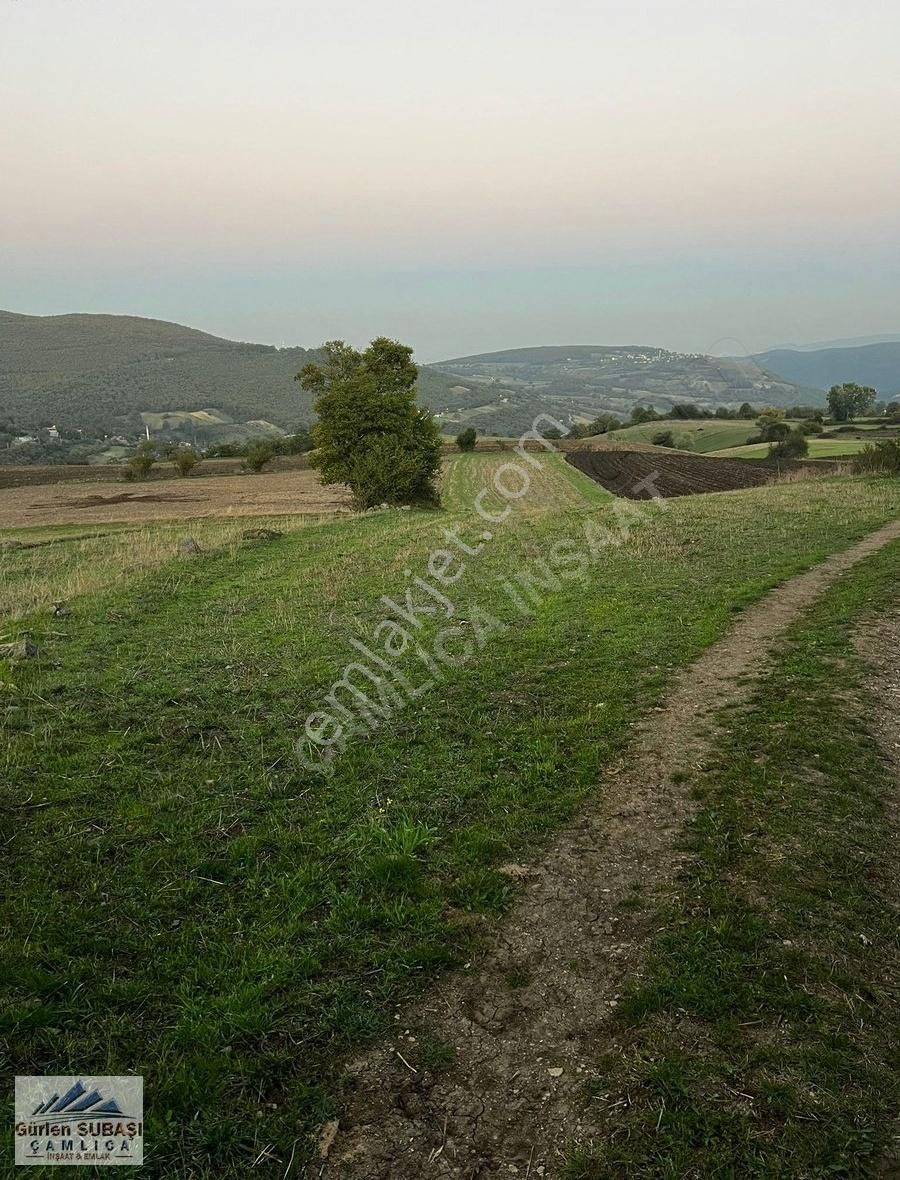Çamlıcadan Akalanda Yola Yakın Yatırımlık Süper Tarla - Görsel 4