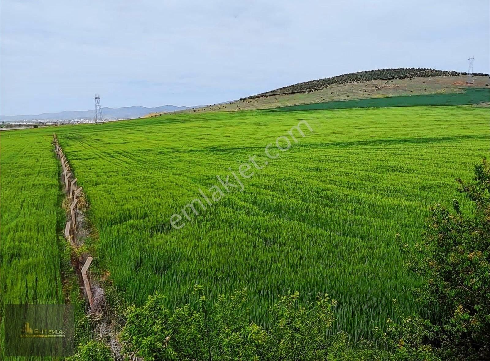 Sandıklı Yunus Emre Satılık Tarla Elit Emlak Tan Antalya Anayol Asfalta Sıfır 92.354 M2 Arazı