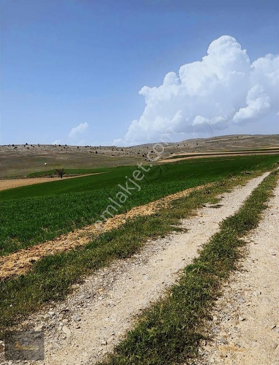 Sandıklı Saltık Köyü Satılık Tarla Elit Emlak Tan Satılık 21.872 M2 Arazi