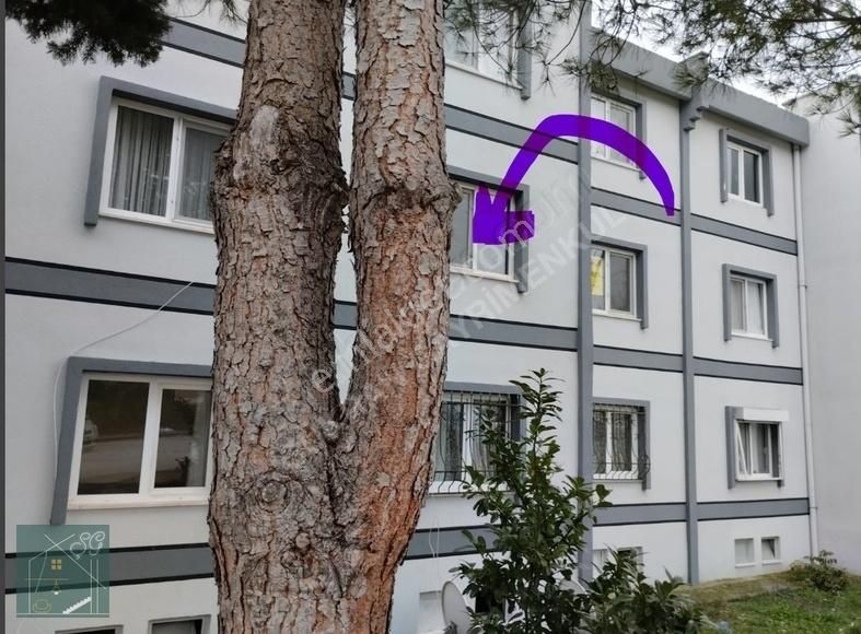 Adapazarı 15 Temmuz Camili Kiralık Daire Şükran Gayrimenkulden 15 Temmuz Camili Ara Kat Kiralık Daire