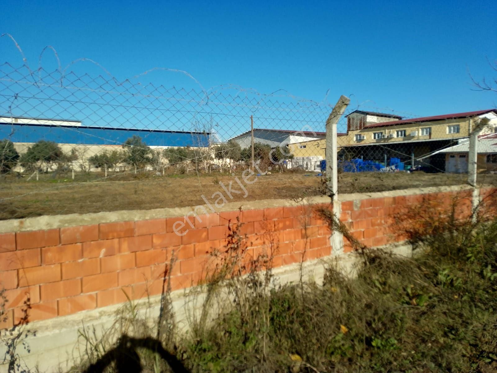Aydın Germencik Ana Asfalta 250 Metre Mesafede 5360 M2 Arsa