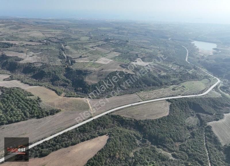 Şarköy Camikebir Satılık Tarla Tekirdağ Şarköy Camikebir'de Deniz Ve Göl Manzaralı 2516 M2