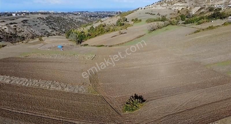 Atakum Kamalı Satılık Tarla **can Emlak'tan Kamalı'da Fırsat Satılık Arsa**