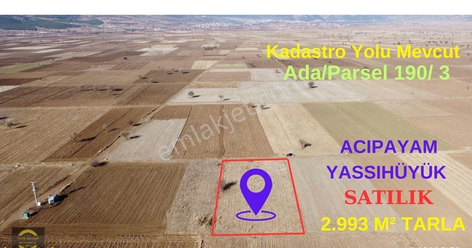 Acıpayam Ovayurt Satılık Bağ & Bahçe Yassıhöyük'de Satılık 2.993 M² Arazi