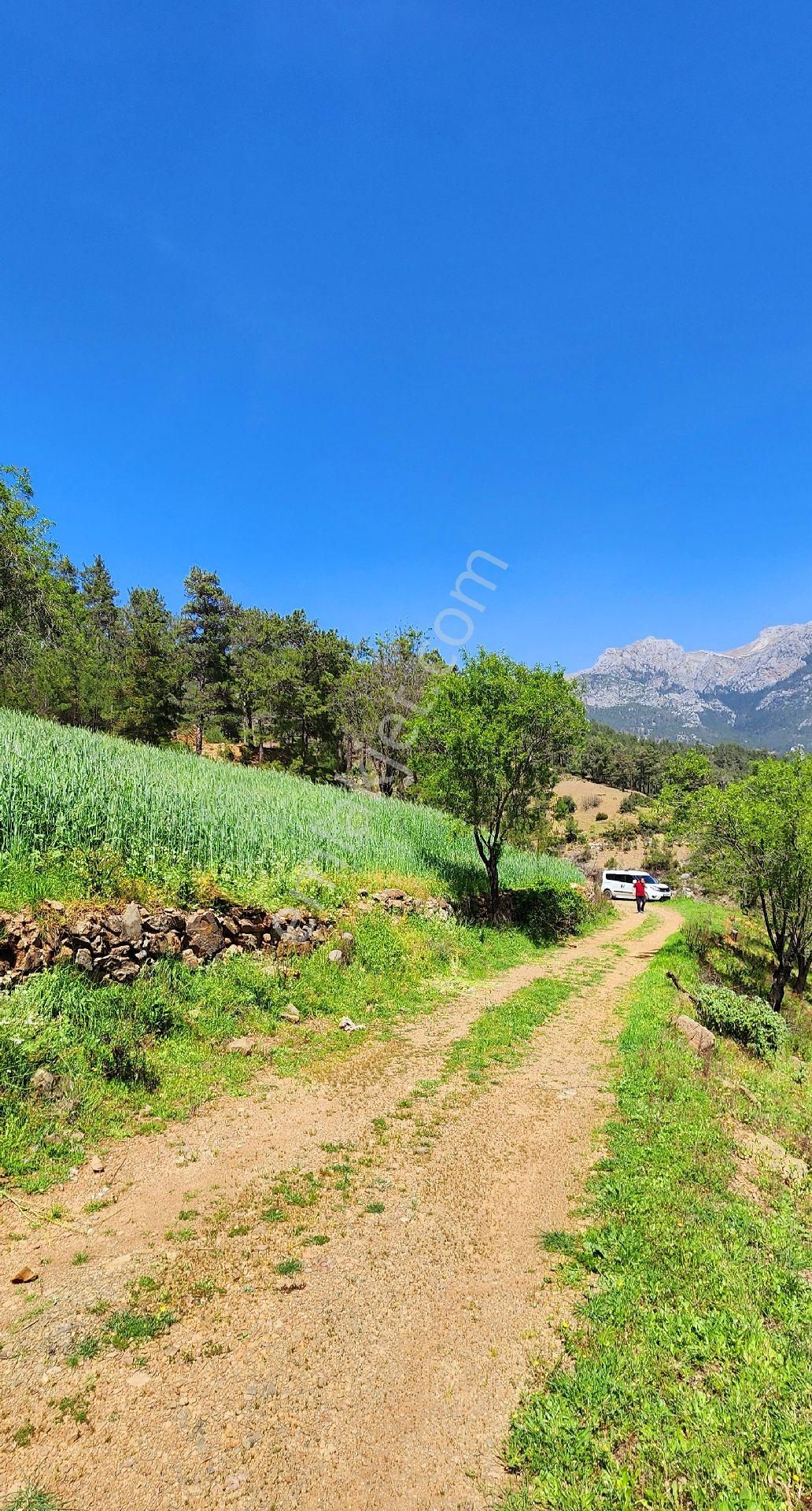 Gazipaşa Yeşilyurt Satılık Tarla Antalya Gazipaşa Yeşilyurt Mahallesınde Satılık Tek Tapu Tarla