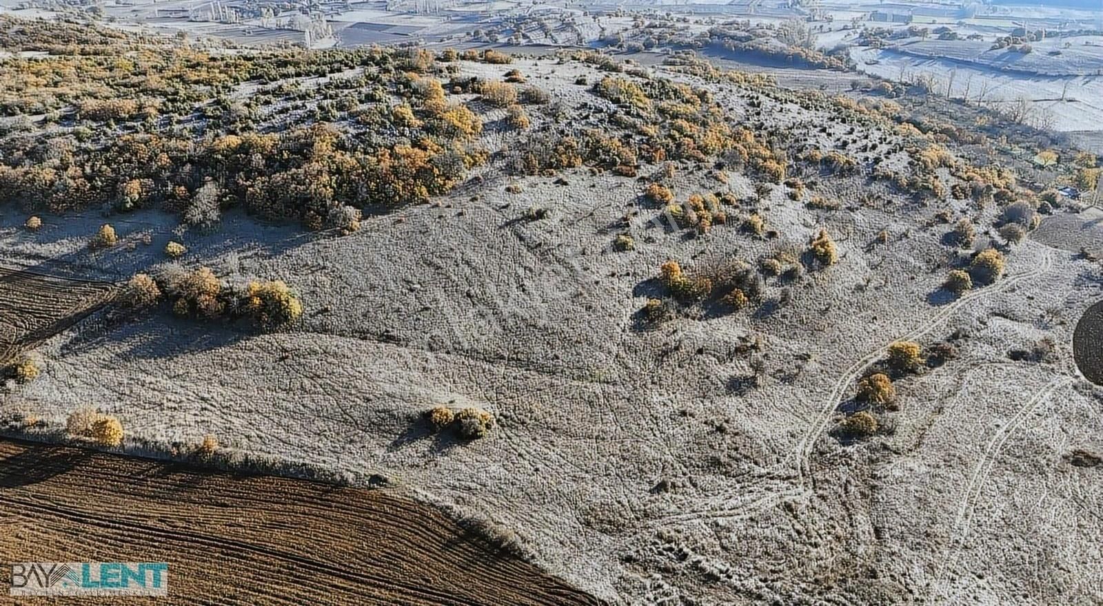 Karesi Yeniköy Satılık Tarla Karesi/yeniköyde Otoban Çıkışına Yakın Yatırımlık Tarla