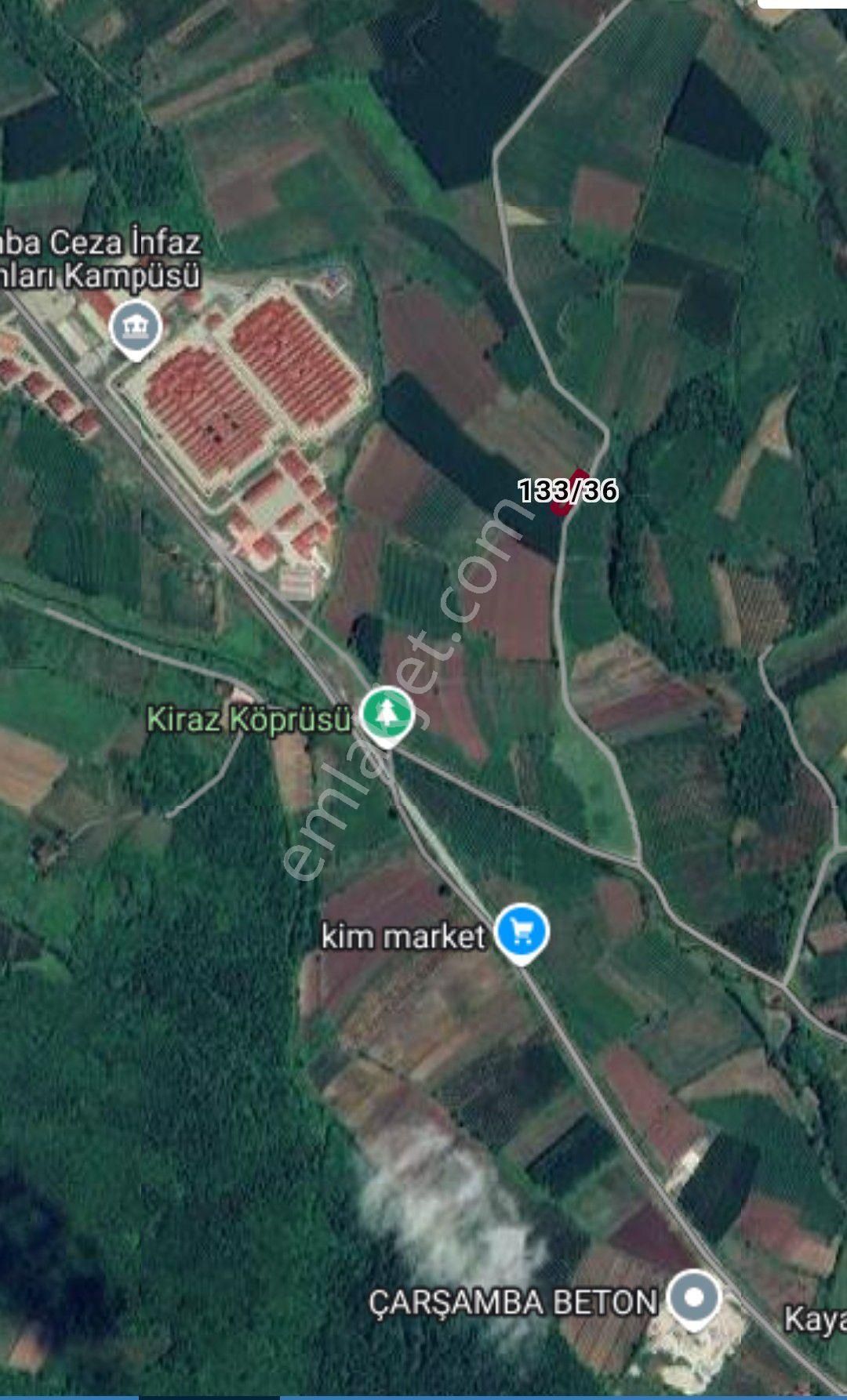 Satılık Fındık Bahçesi Yatırımlık Koy Yol Üstünde Yeni Çarşamba Cezaene Yakın - Görsel 5