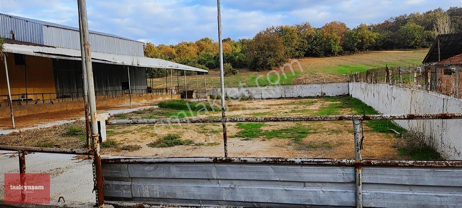 Gebze Pelitli Satılık Çiftlik Evi Gebze Pelitli'de 707 M2 Arsaiçinde Satılık Mezbaha Ve Çiftlik Ev