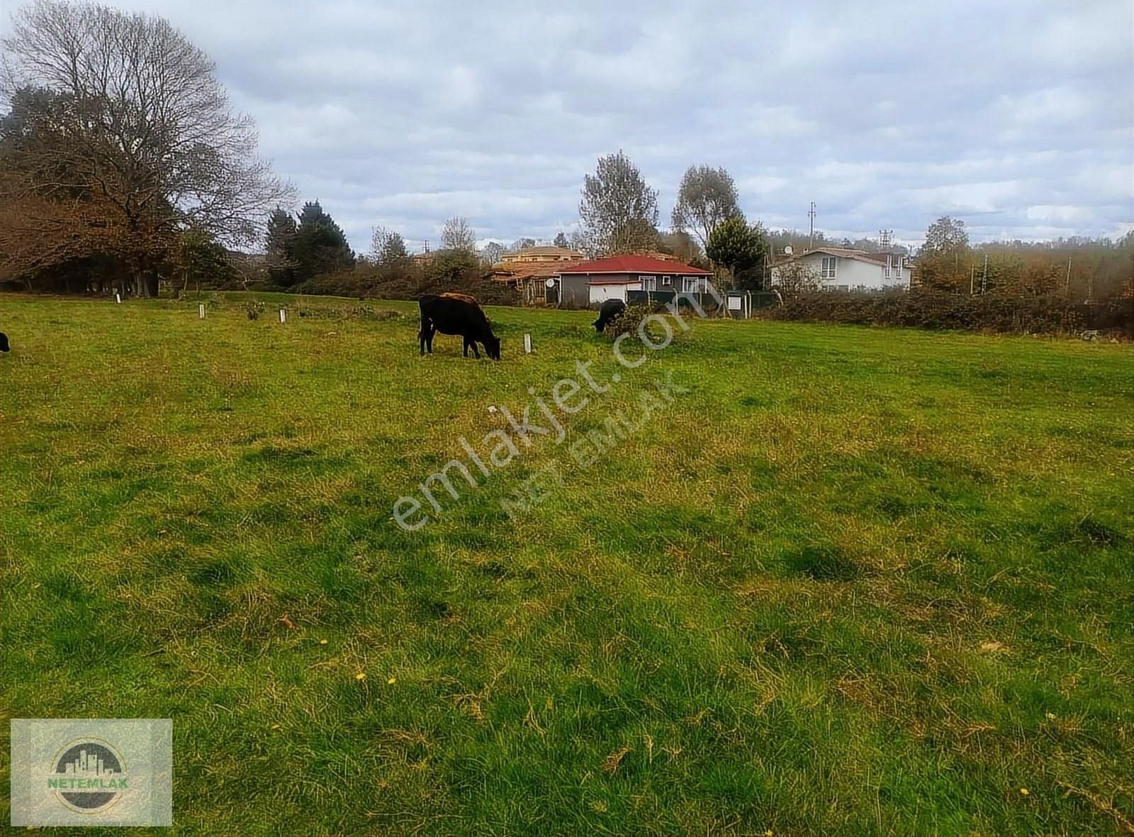 Çatalca Karacaköy Merkez Satılık Konut İmarlı İstanbul Çatalca Karacaköy Villara Yakın Satılık Arsa